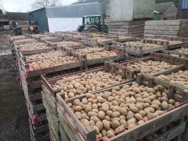 Potato Farmers and Suppliers Masters & Co Our Farmers